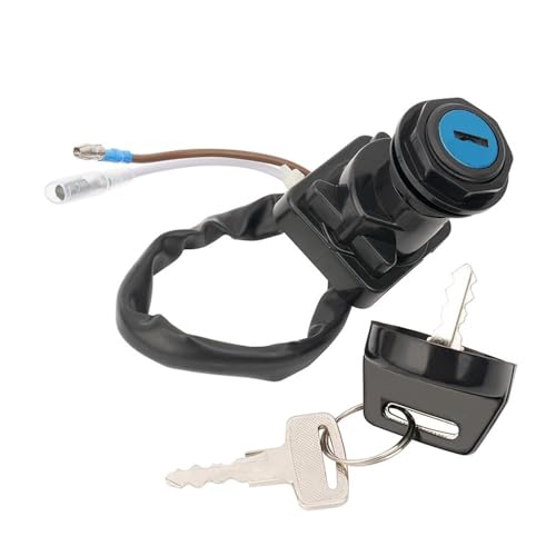 Interruptor de llave de encendido para rutas de aventura en Bayou 300