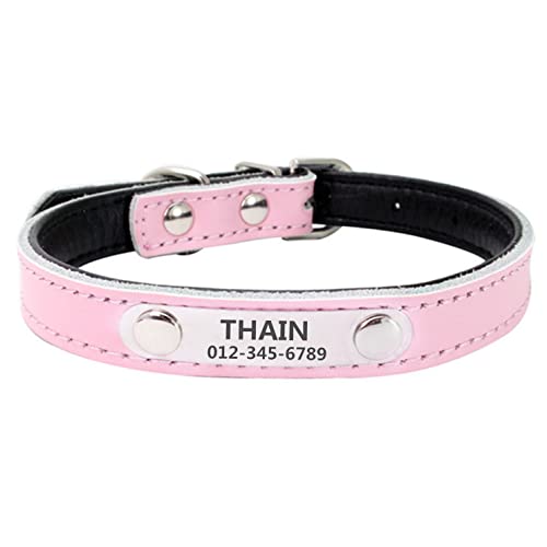 THAIN   qD v O [U[ hbO^O ybg Dt ybĝOAA捏\ x[VbN l[v[g ID^O ybg (L, sN)