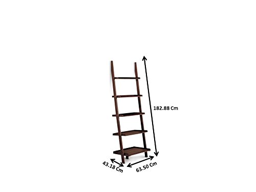 Amazon.com: POUNDEX 5-Tier Leaning Wall Shelf, Cappuccino : Home