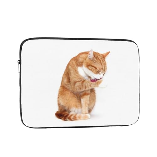 m[gp\RP[X L L lR  Aj 13 C` 360°یpcP[X ϏՌp\R[ p\RobO ^ h y Vv ʋ ʊw rWlX jp lC v[g