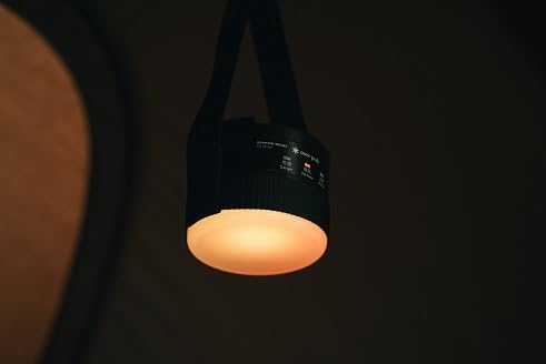 Amazon.co.jp: Snow Peak スノーピーク （日本精機共同開発） ST-151