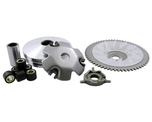 2EXTREME Standard Variomatik kompatibel für REX RS450 QM50QT-6A, KYMCO Agility 50 Basic 4T, Super 8 50 4T, DJ 50 S 4T, ZNEN ZN50QT-E, AGM Motors GMX450, BAOTIAN BT49QT-9 - BT50QT-9, FLEX-TECH FUN 50 f 2EXTREME Standard Variomatik kompatibel für REX RS450 QM50QT-6A, KYMCO Agility 50 Basic 4T, Super 8 50 4T, DJ 50 S 4T, ZNEN ZN50QT-E, AGM Motors GMX450, BAOTIAN BT49QT-9 - BT50QT-9, FLEX-TECH FUN 50 f