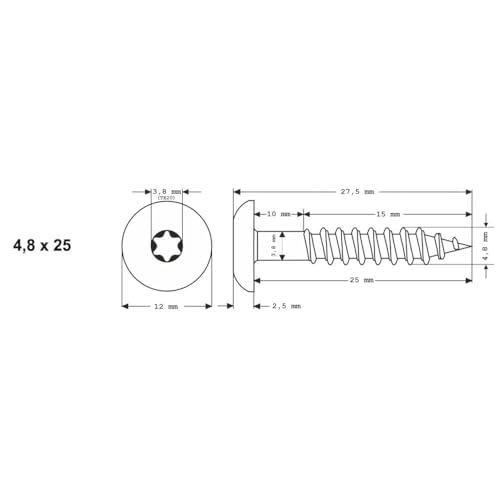 100x MEISTERLING® Fassadenschrauben INOX V2A 4,8 x 25 mm – Flachkopf Torx T20 + 1 Bit – Weiß