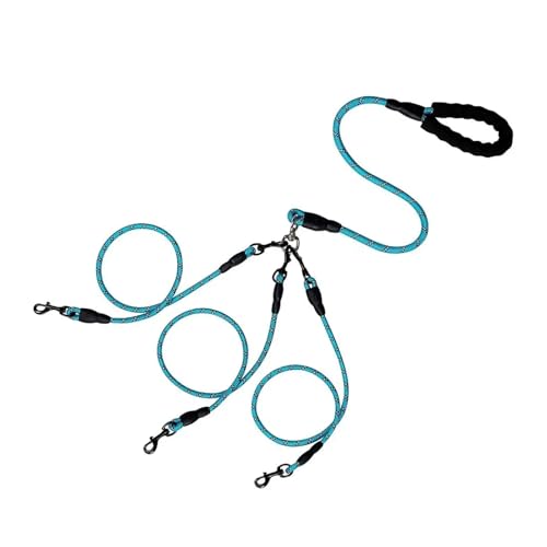 ybgpfAwbhpEH[LO[v g^p^[ 1{j 2{[v h~ O\(Light Blue,3 heads)