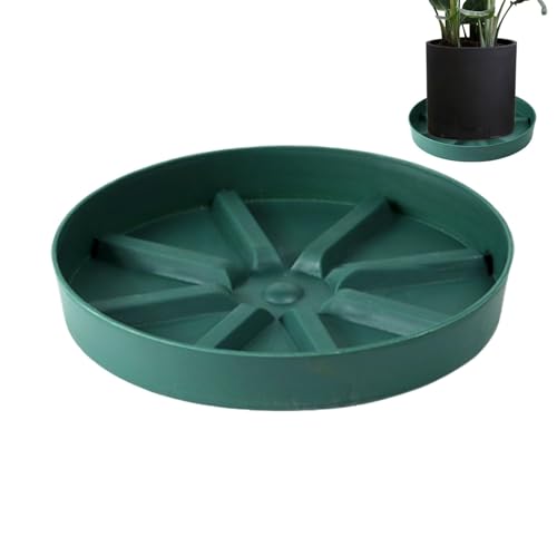 pAgCAAؔ󂯎M | rX^vgʋĈPPAgC,AReiANZT[A󂯎MK[fz[v^[ƒpK[fjOt[|bggCAOgp