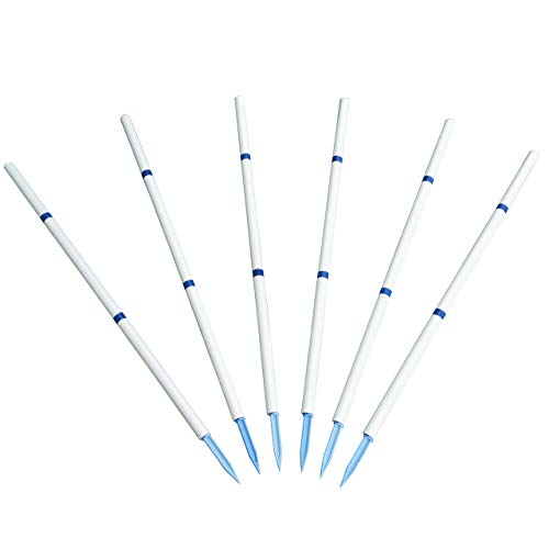 Affordable Agility Stick in The Ground 6 Pole Weave Set