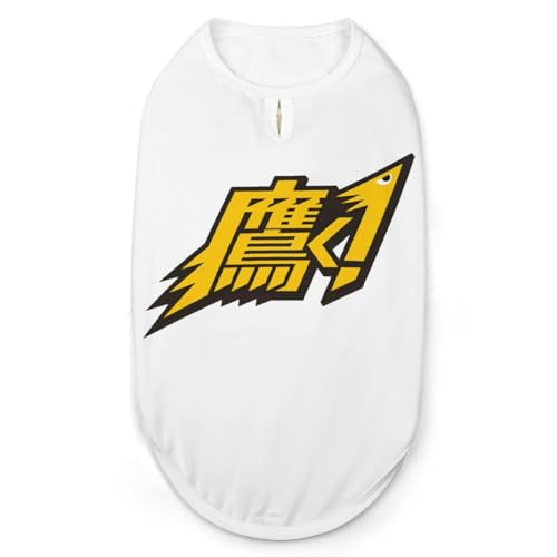 \tgoNz[NX ybg 싅  TVc L hbOEFA  Ȃ  _炩 ^ ^ ʋC Eѕی Ăh LOBe U o M