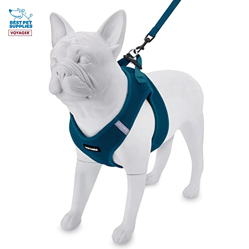 Voyager Step-in Air All Weather Mesh Harness and Reflective Dog 5 ft Leash Combo with Neoprene Handle - Image 4