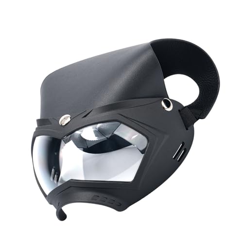 ybgVF[hXq X|[cUVїp SSی ^p ΍ pS[O Xgbvt