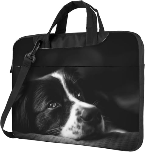 [TWOQCMXF]  m[g 킢 {[_[R[q 360°ی h Aʊw rWlX Aj LN^[ʋ ʊw 