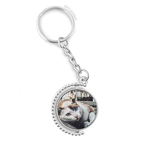 Porte-clé chat image rotative idée cadeau animal coloré original