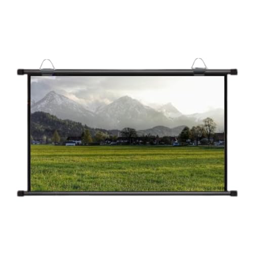 Écran de projection pour la maison format 16:9 portable de 101,6 cm de base