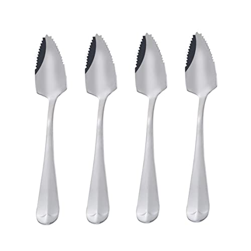Ameble Set di cucchiai da Frutta frastagliati con Manico in Acciaio Inossidabile con Bordo dentato, Raschietto da Cucina Multiuso per Frutta, Melone, Pompelmo e Dessert 4 Pezzi