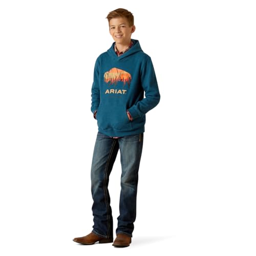 ARIAT Boys' Bison Plains Hoodie3