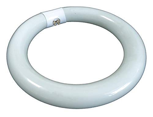 Lumapro 13 G572 circolare lampada, T9, 22 W, Cool