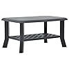 vidaXL Coffee Table End Table with Storage Shelf Side Table Anthracite Plastic
