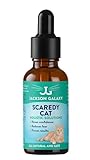 Jackson Galaxy Solutions Scaredy Cat