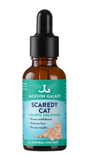 Jackson Galaxy: Scaredy Cat (2 oz.) - Pet Solution - Promotes Sense of Self-Confidence and Reassurance - Perfect for Cats Who Hide and Run from Touch - All-Natural Formula - Reiki Energy