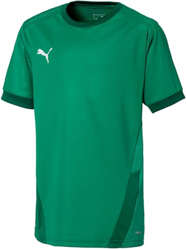 PUMA Unisex Youth TeamGoal 23 Jersey, Green, M