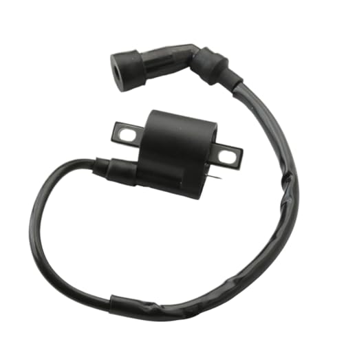 Ignition Coil Compatible With XT125 YBR125 YBR 125 3D9-H2310-00