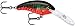 Rapala Shad Dancer 05 Crawdad SDD05RCW: Shad Dancer 05 Crawdad, Red