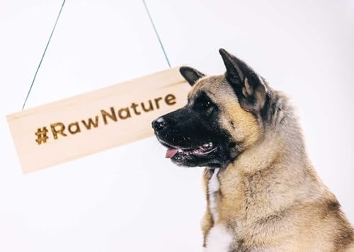 RAW Nature - Pferd Pur 400g - Mit Leinsamen - Nassfutter für Hunde - Hoher Fleischanteil - Monoprotein - Alleinfuttermittel - Getreidefreies Hundefutter