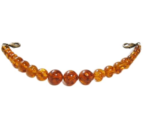 �����̂����Bo�� �嗱�V�R����(�A���o�[) �j���H�D�R