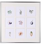 Amazon.co.jp: NUOLUX フォトフレーム 写真立て 複数枚 多面 壁掛け