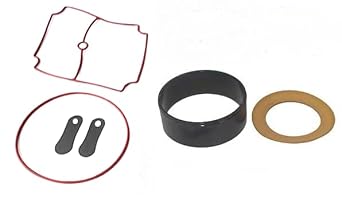 Easy Pro ERP25 Repair Kit for Rocking Piston Compressor. Low or No Pressure Repair. Aeration Pump Repair. Parts Kit for Restoring Optimal Performance. ERP25K