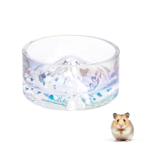 nX^[  ybg EH[^[{E KX{E xmR` NA ^ybg aM ݊ ]|h~`  CR nX^[ nlY~p