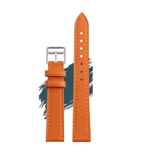 [ł] GX HU[EHb`oh HOURV[Y XNGA_C ^IW Kȃ\tgvEHb`Xgbv(Orange Silver,16mm)