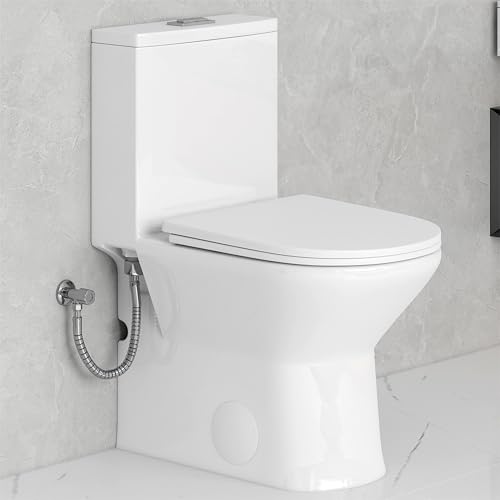 Eridanus Compact One Piece Toilet with Comfort Chair Seat AD...