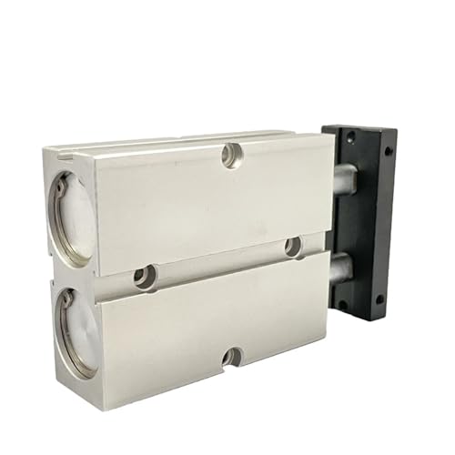 Cylindre pneumatique double tige TN32 actionneur pour machine automatisée