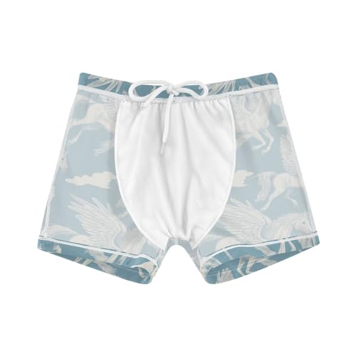 White Horse with Wings Flying Cute Colored Cats Boys Swim Trunks Swimsuits for Toddler Boy Swim Shorts Trunks 3-10T4
