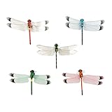 Arsnature 10PCS 5 Colors Mini-Sized Realistic Refrigerator Magnets Dragonfly, Fake Dragonflies, Fridge Magnet, Dragonfly Decor, Dragonfly Garden Decor, Dragonfly Gifts for Women
