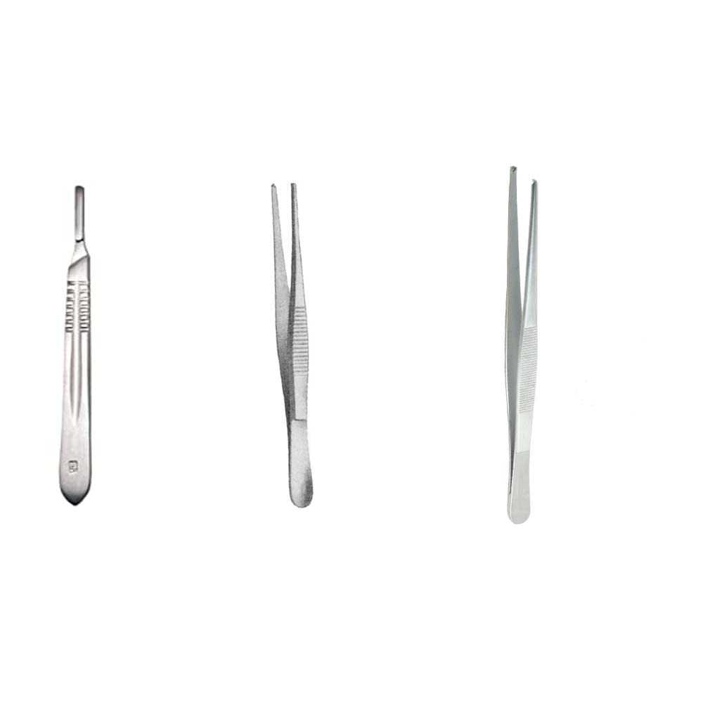 TRUBIOLOGY Tooth Forcep, Plain Forcep Dissecting, Scalpel Handle Combo of 3 (B0C3HJWK99) Amazon Price History, Amazon Price Tracker