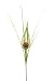 Queens of Christmas Peacock Glitter Spray with Feather Pick, 20", Lime Green and Red