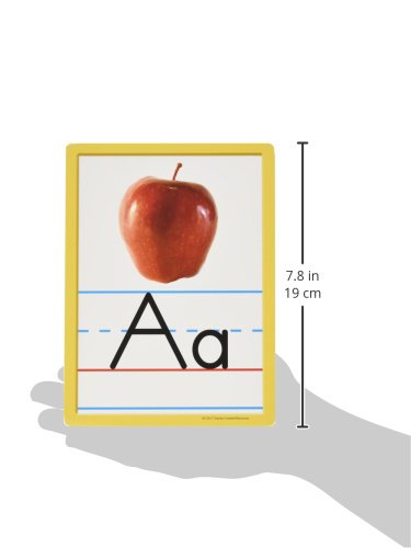 Edupress Alphabet And Numbers Accents, Pack Of 36 Multicolored 6" X 8" #TOP4