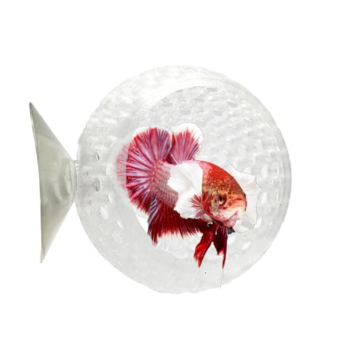 Image of CTWPets Natural Betta Bulb Hide | Betta Rest Fish Tank Ornament | Aquarium Cave with Suction Cup for Small Fish Tank, Betta Habitat, Shrimp Hideout, Aquatic Decor (Transparent)