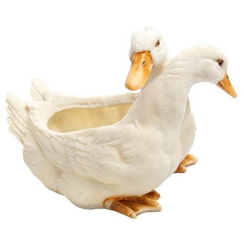 Jardinière succulente canard pour égayer votre décoration de bureau à domicile - 2