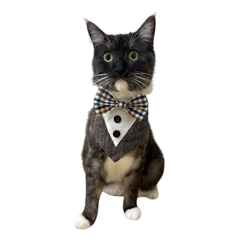 Hariakji �� �^�L�V�[�h�J���[ �o���_�i�A���̃E�F�f�B���O�ߑ��o���_�i�A�^�L�V�[�h���l�N�^�C�̋� ������^�� �a�����p�[�e�B�[�t�F�X�e�B�o��(�u���E���AS)