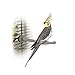 K&H Pet Products Thermo-Perch Heated Bird PerchSmall Gray 1" x 10.5" 3.5W