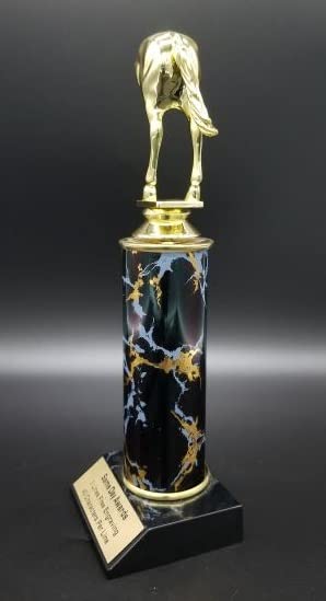 Same Day Awards Horse's Ass Single Colum Trophy 11 Inches Engraving Included