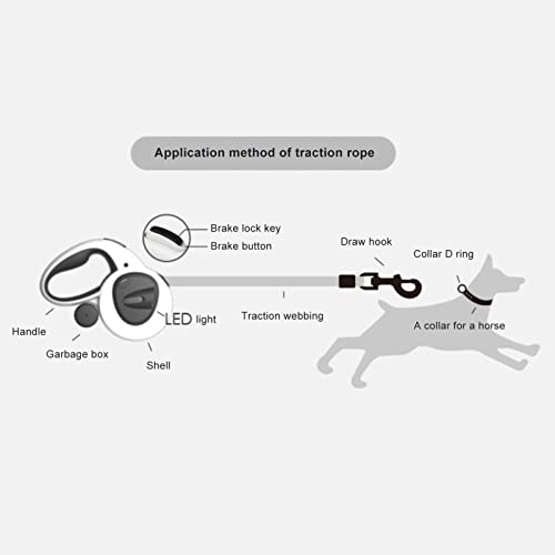 Coleira Retrátil | Trela para Cachorros 5M,nylon reflexiva forte sem emaranhados, com alça antiderra