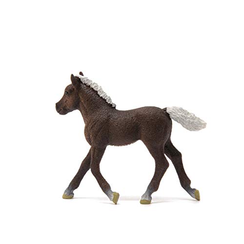 SCHLEICH 13899 Schwarzwälder Fohlen, für Kinder ab 3+ Jahren, Farm World - Spielfigur