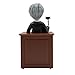 NPW Your Honor Sound Machine – Talking Judge Gavel Sound Effect Toy – Hilarious Judge Sound Machine