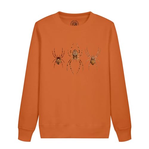 Sweatshirt enfant araignées américaines biologique pour petit passionné