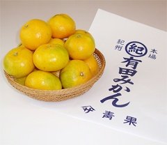 }T Lc݂ 5kg G LTCY