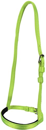 D.a. Brand Neon Brights Nylon Race Bridle W/Yoke & Rings Set Horse Tack #TOP4