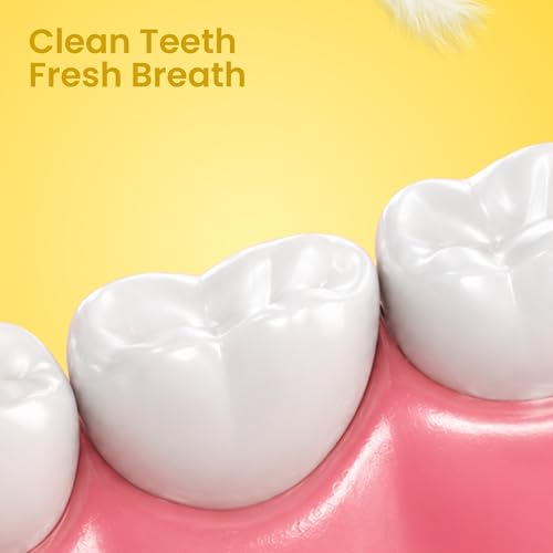 Image of Enshine Advance Clean+ Soft Toothbrush for Adults - Pack of 5 | Ultra Soft Tapered PBT Bristles | Tooth Brush Set with Non-Slip Grip | Manual Toothbrushes for Sensitive Gums & Enamel | Multi-Color